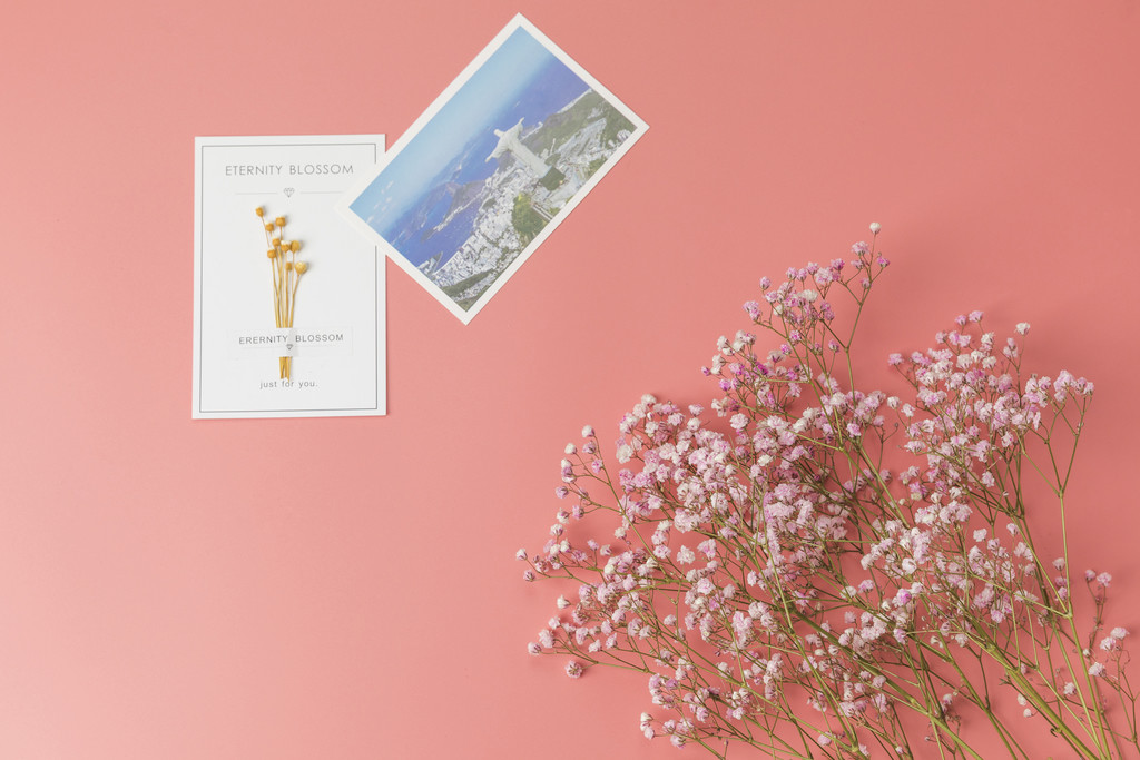 春天花卉满天星背景图片