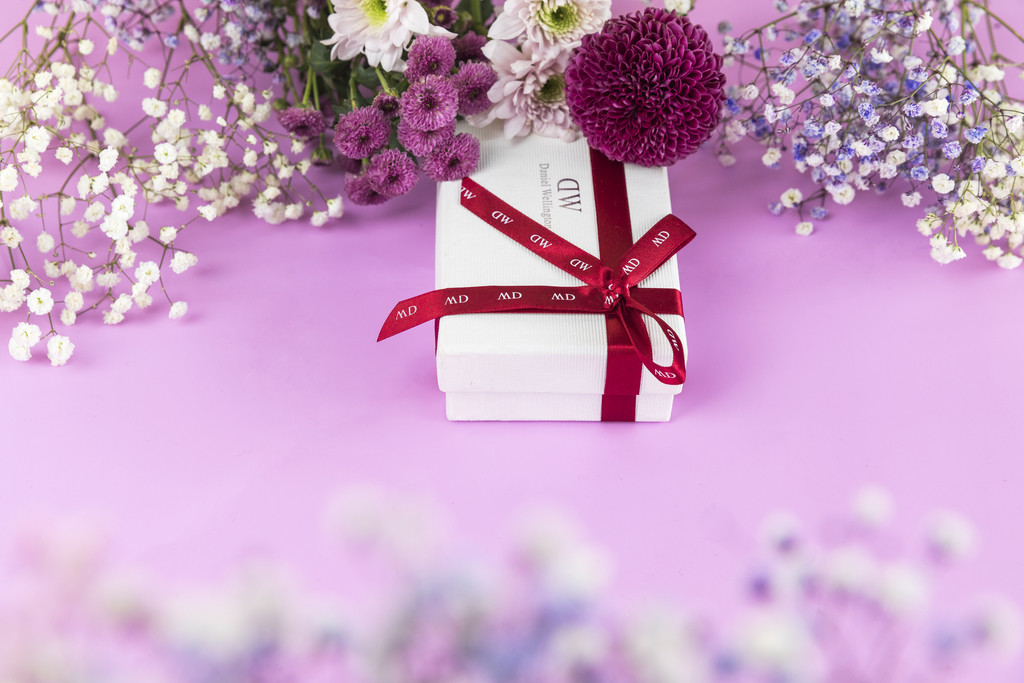 春天鲜花紫色满天星背景图片