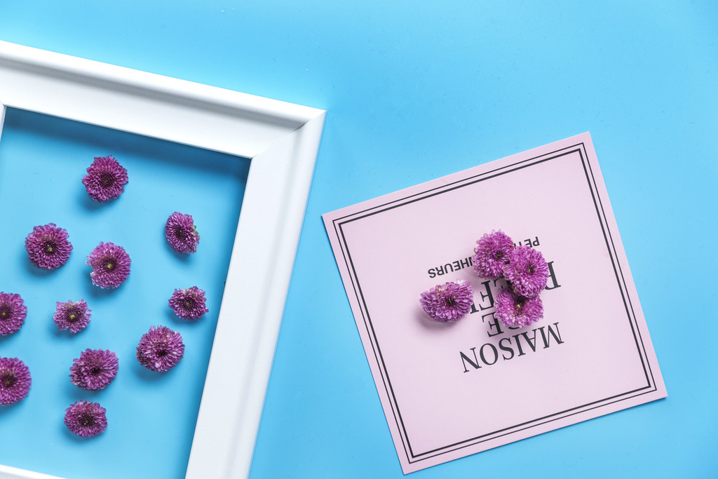 鲜花小雏菊背景图片