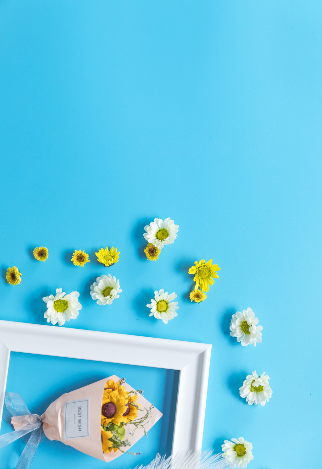 鲜花小雏菊背景图片