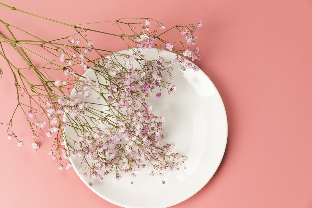 春天鲜花紫色满天星背景图片