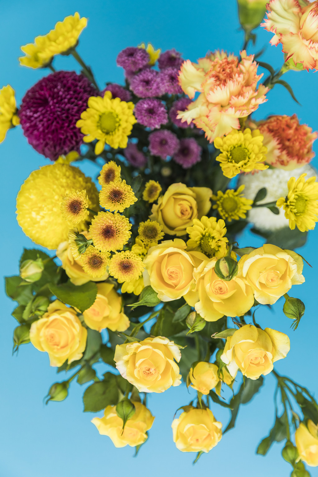 小清新鲜花礼物背景图片 