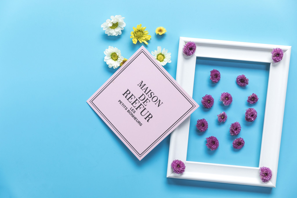 鲜花小雏菊背景图片