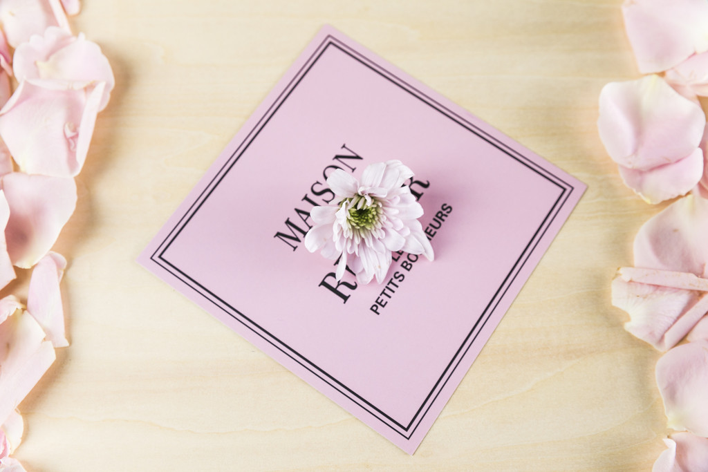 鲜花小雏菊背景图片