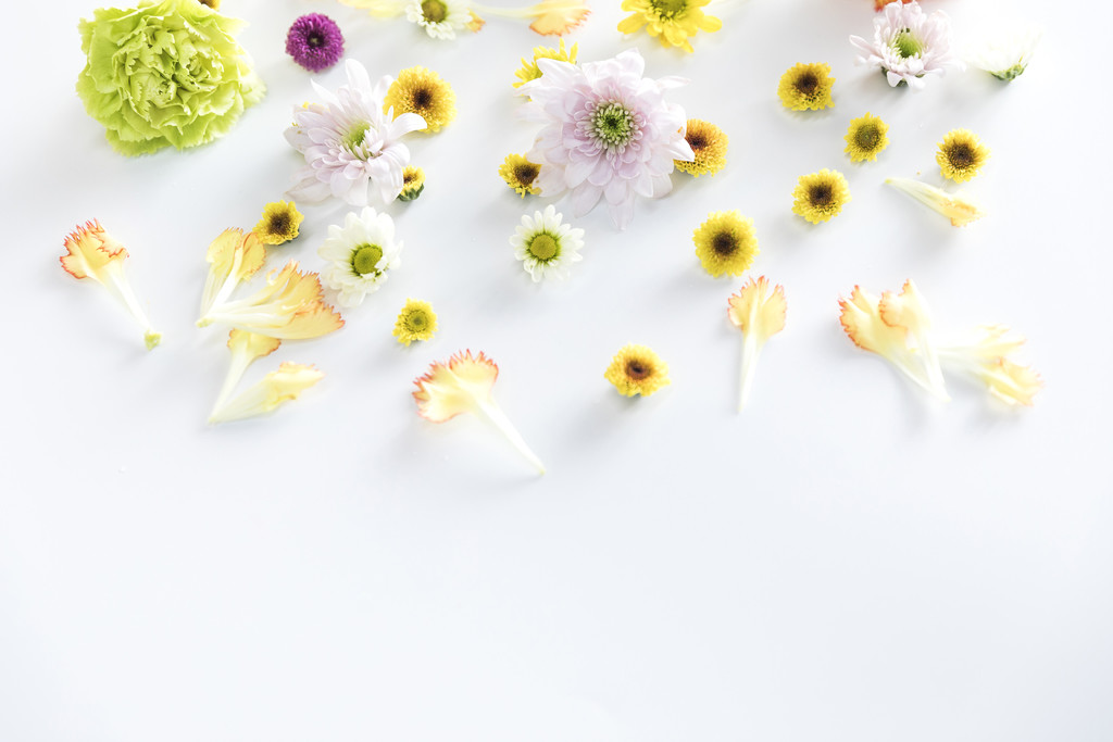 鲜花小雏菊背景图片