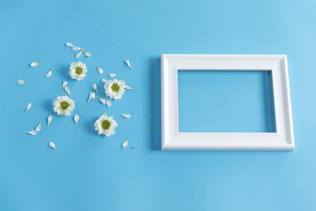 鲜花小雏菊背景图片