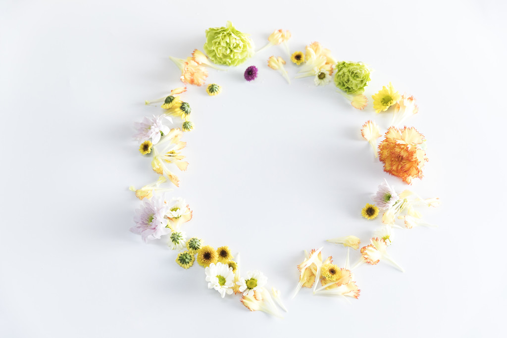 鲜花小雏菊背景图片