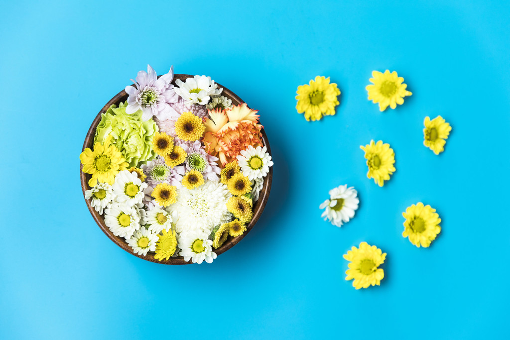 鲜花小雏菊背景图片