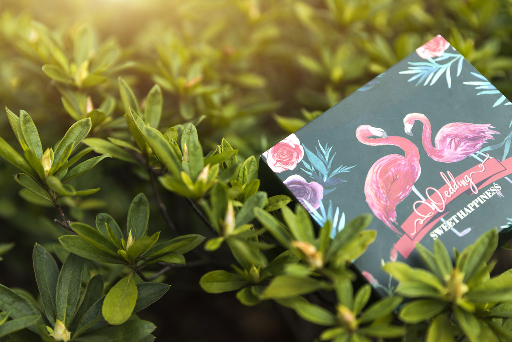 喜庆节日礼物包装图片