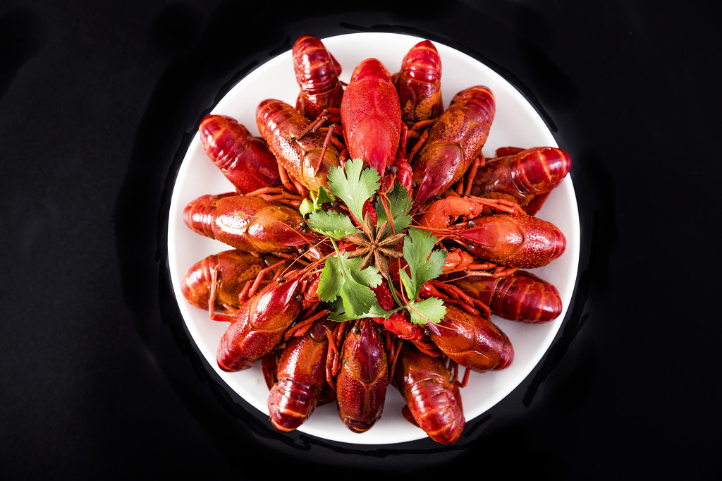 新鲜青色鲜活龙虾