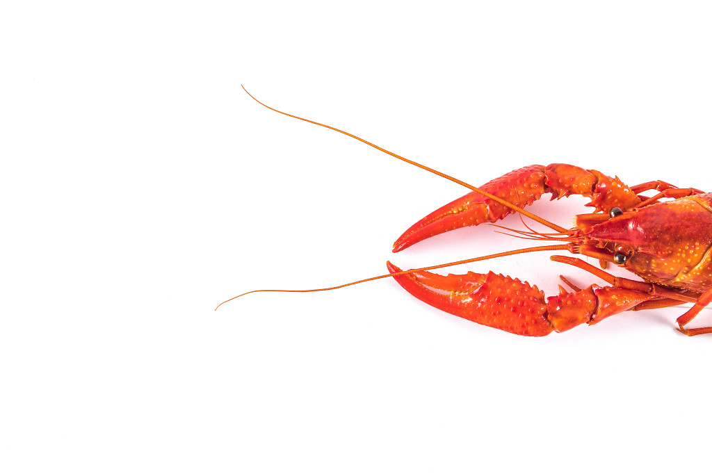 美味新鲜麻辣小龙虾