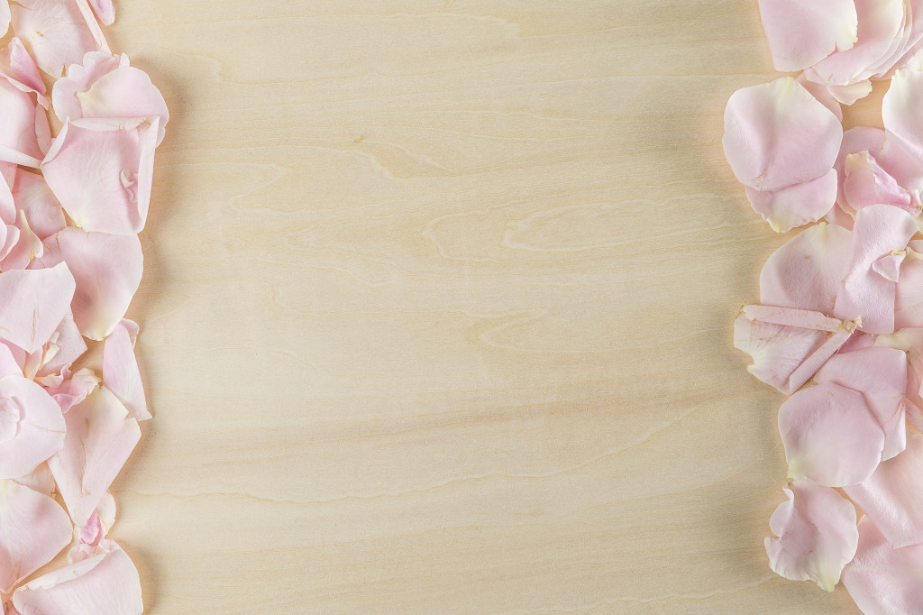 植物鲜花美丽花瓣图片