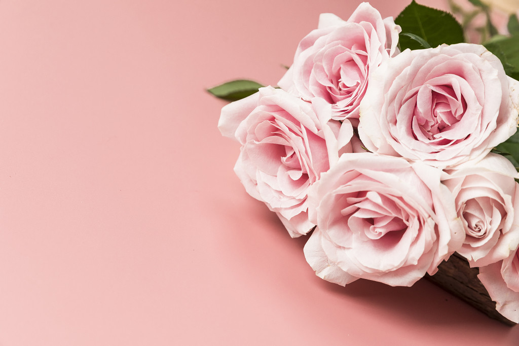 520鲜花玫瑰花520背景图片七夕情人节母亲节情人节玫瑰花背景图片