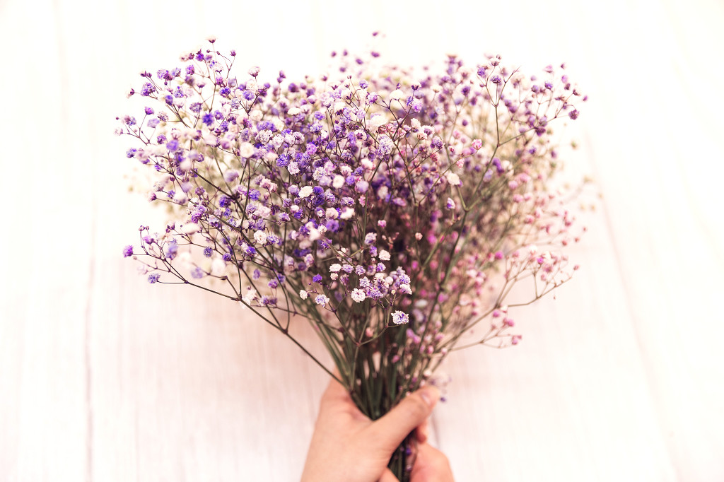 春天花卉满天星背景图片