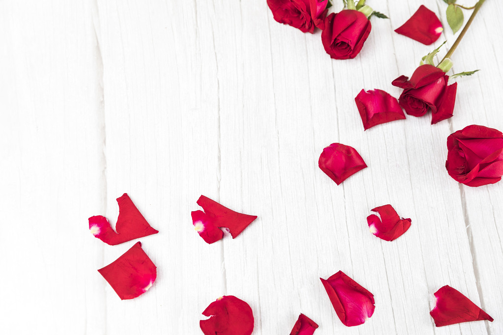 情人节玫瑰花背景图片