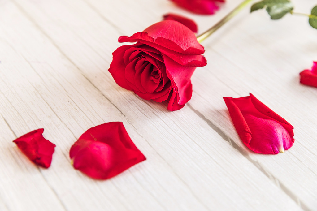 情人节玫瑰花背景图片