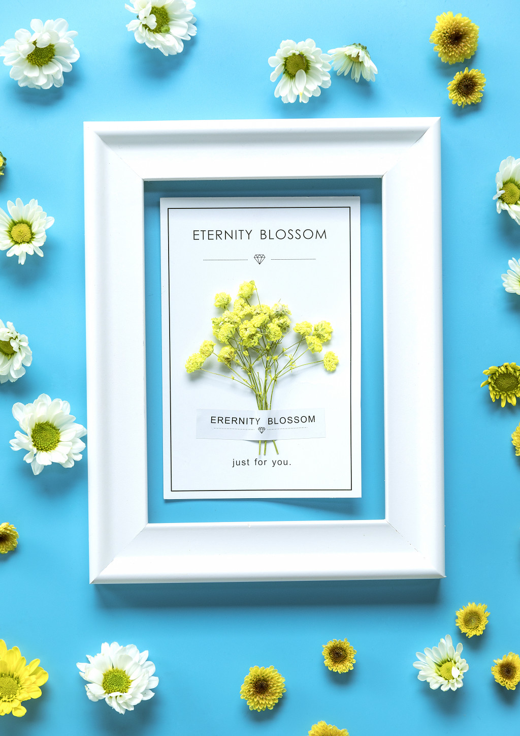 春天鲜花小雏菊背景图片