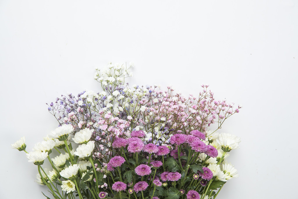 春天花卉满天星背景图片