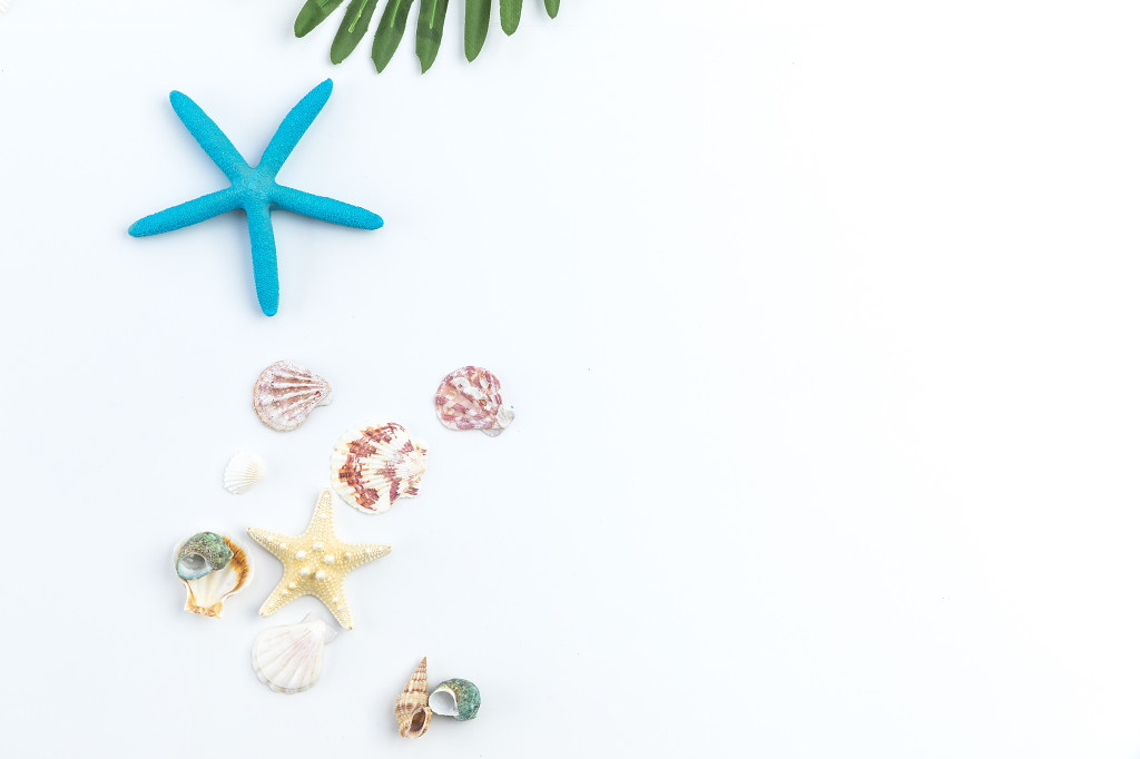 夏日度假静物色彩搭配图片