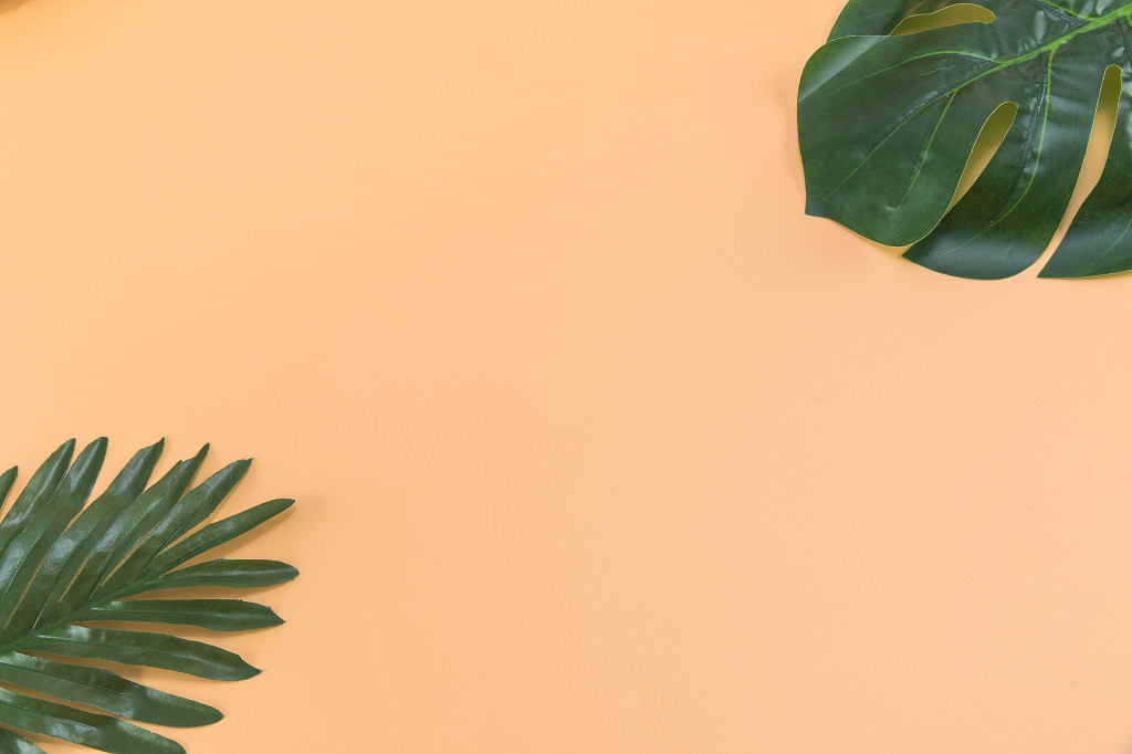 夏日清凉极简植物图片