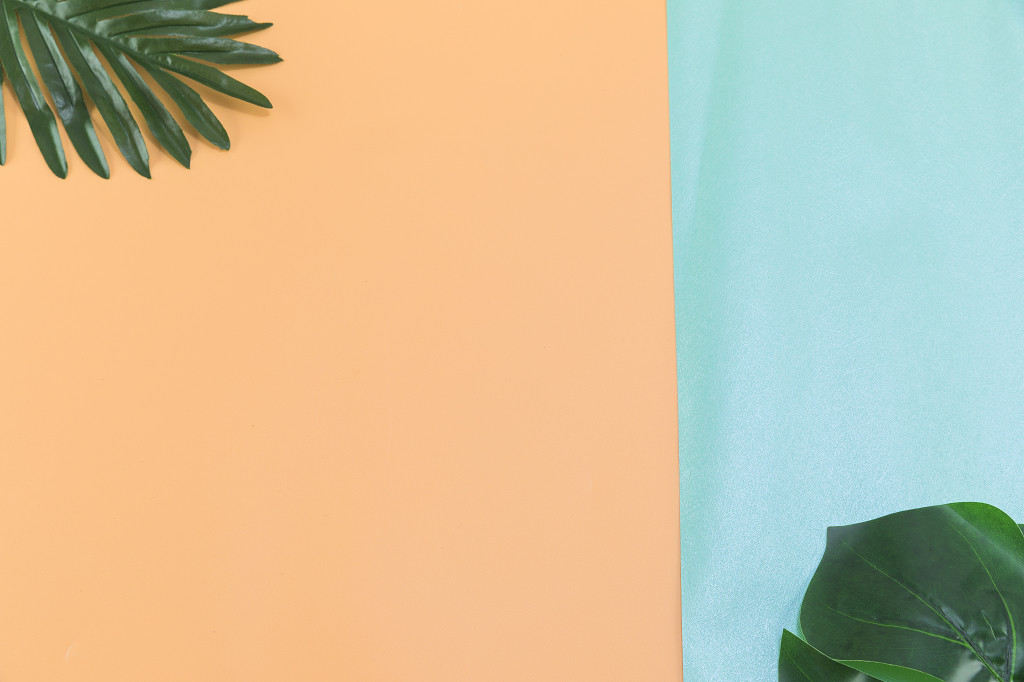 立夏清凉极简植物图片