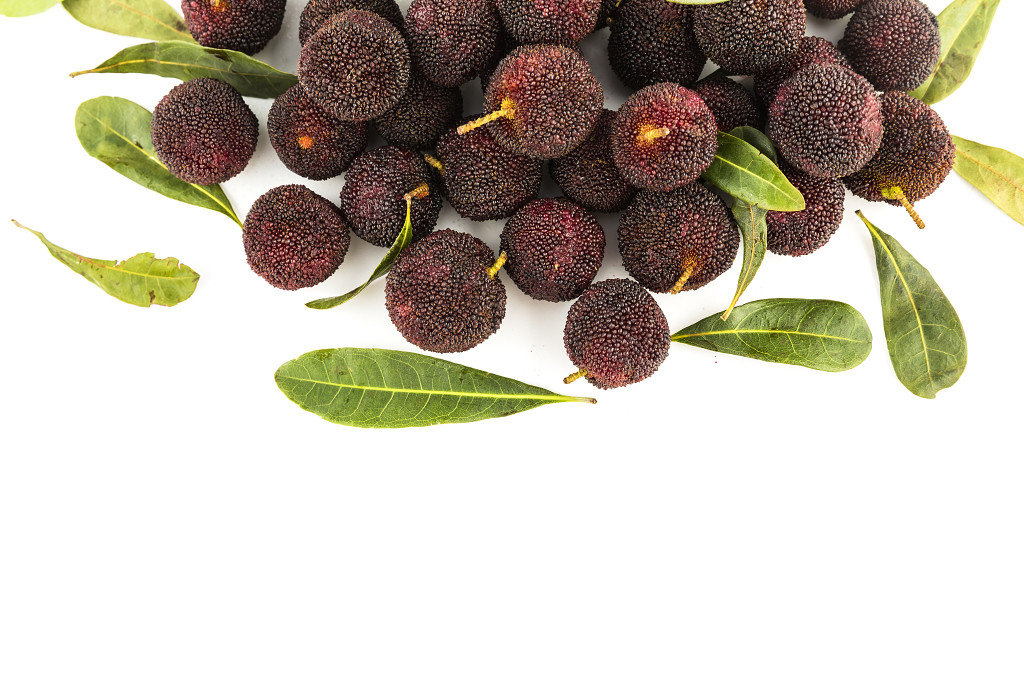 新鲜红色水果杨梅图片