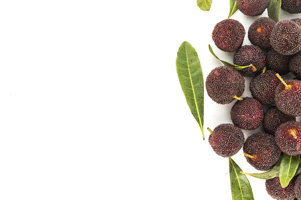 新鲜红色水果杨梅图片