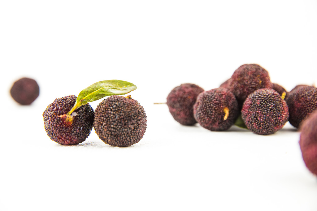 新鲜红色水果杨梅图片