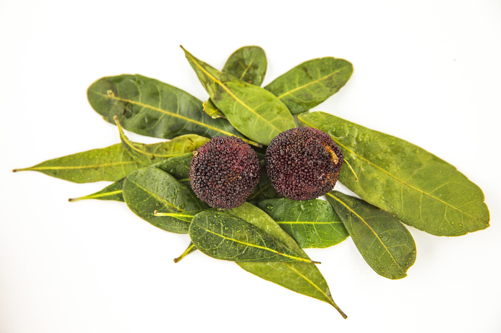 新鲜红色水果杨梅图片