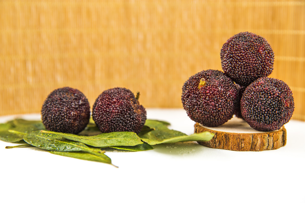 新鲜红色水果杨梅图片