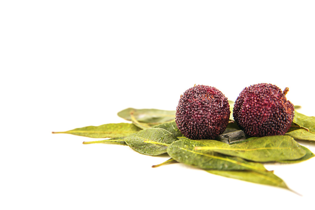 新鲜红色水果杨梅图片