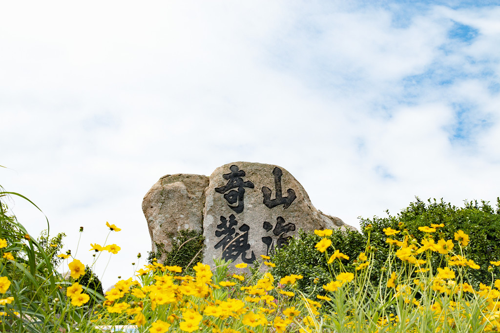 春天小清新淡雅花海图片