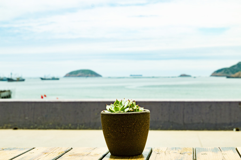 春天小清新鲜花图片