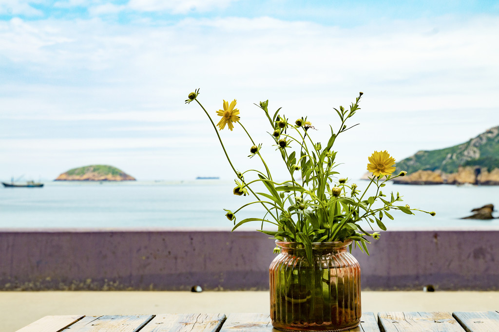 春天小清新鲜花图片