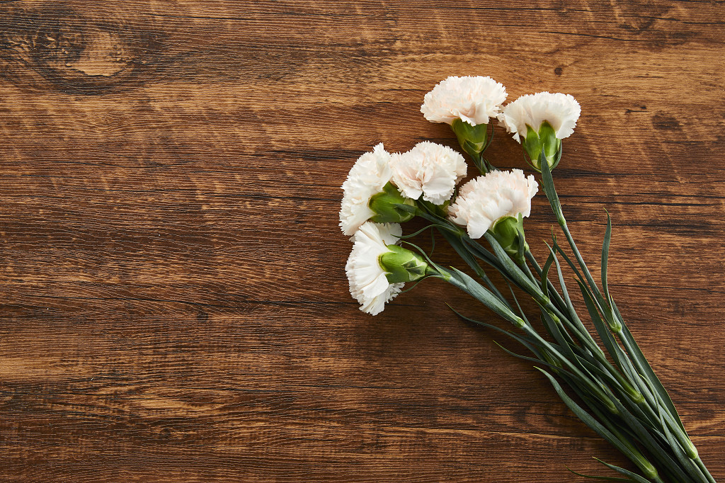 鲜花花朵多束康乃馨花朵在木桌背景上的场景素材俯视图对角线构图教师节
