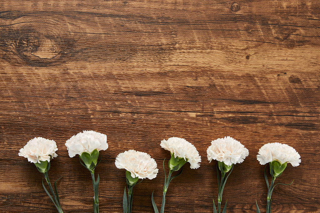 鲜花花朵多束康乃馨花朵并排在木桌背景上的场景素材俯视图教师节配图
