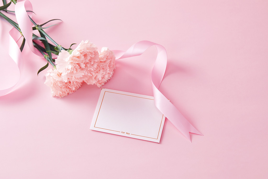 粉色背景七夕情人节鲜花花朵丝带缠绕的康乃馨鲜花贺卡在粉色背景上的场景配图创意图教师节