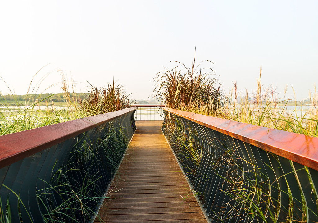 以公园为主题拍摄的成都兴隆湖湿地公园JPG素材