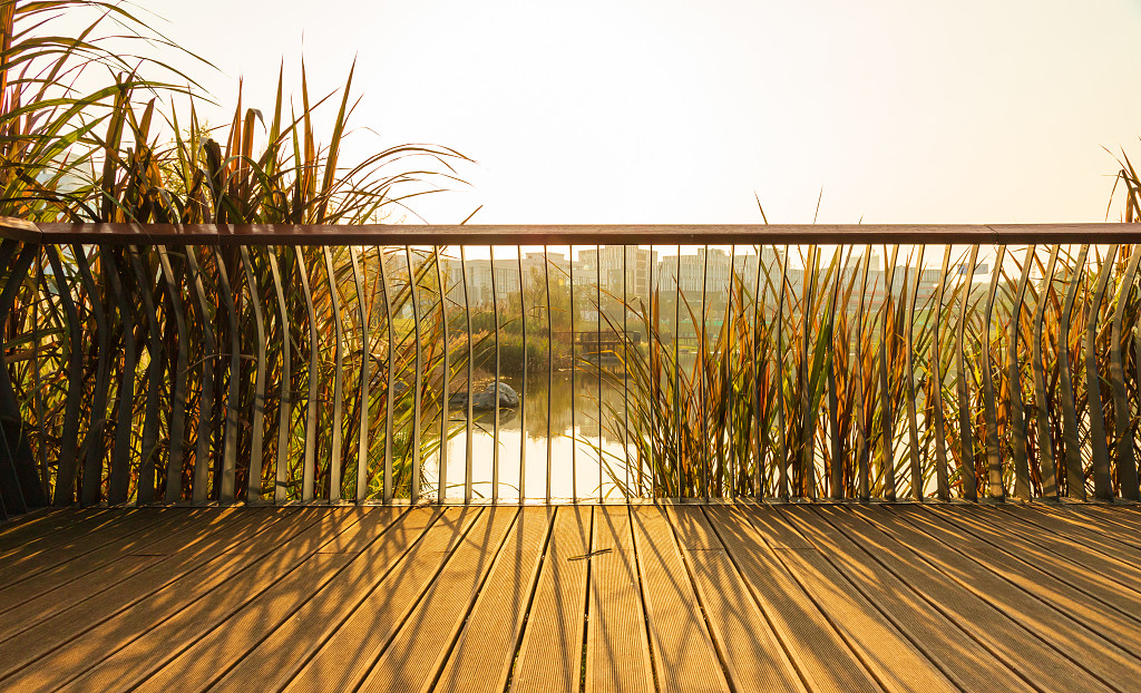 以公园为主题拍摄的成都兴隆湖湿地公园JPG素材商务办公楼