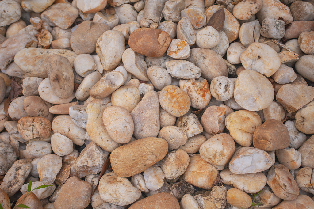 鹅卵石秋天黄色鹅卵石枯叶平铺JPG素材