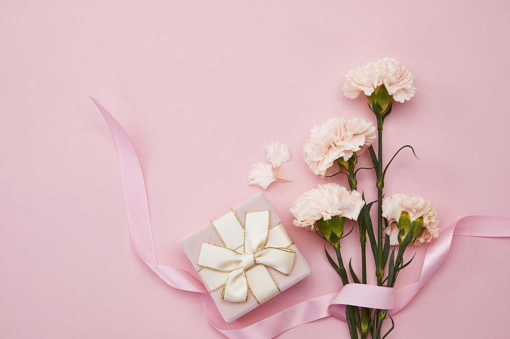 520背景图片粉色背景七夕情人节粉底礼盒丝带花瓣康乃馨鲜花花朵教师节教师节母亲节康乃馨花朵