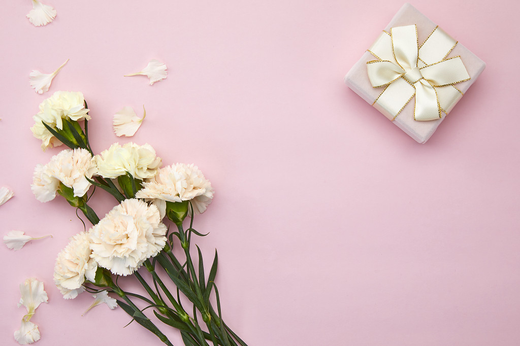 粉底礼盒花瓣康乃馨鲜花花朵教师节配图教师节母亲节康乃馨花朵