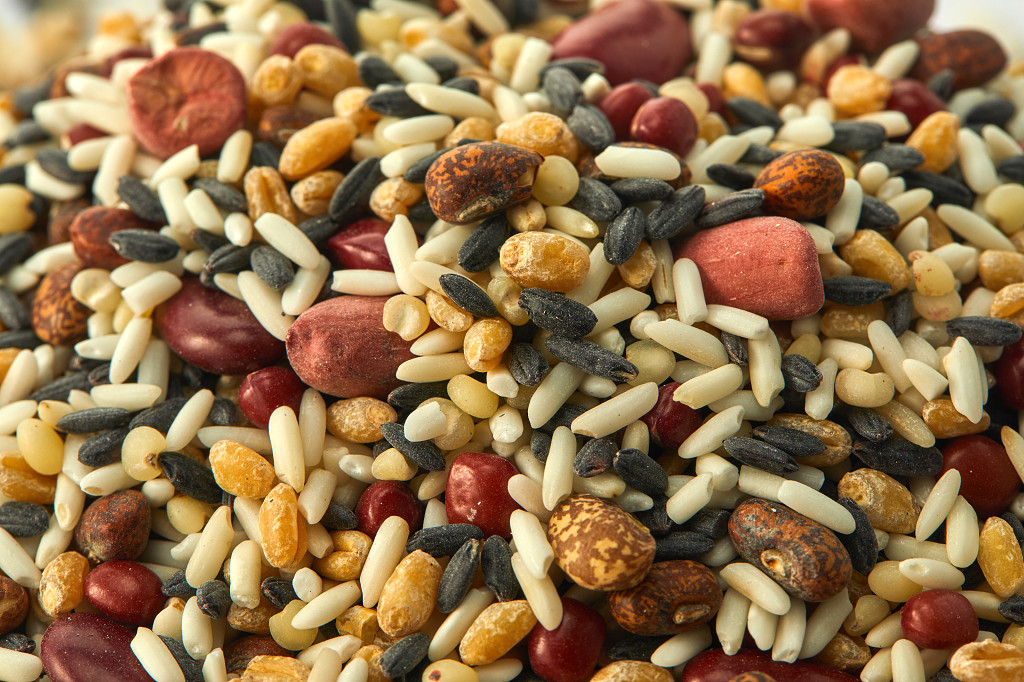 粮食实拍特写五谷杂粮八宝粥配图谷物丰收节