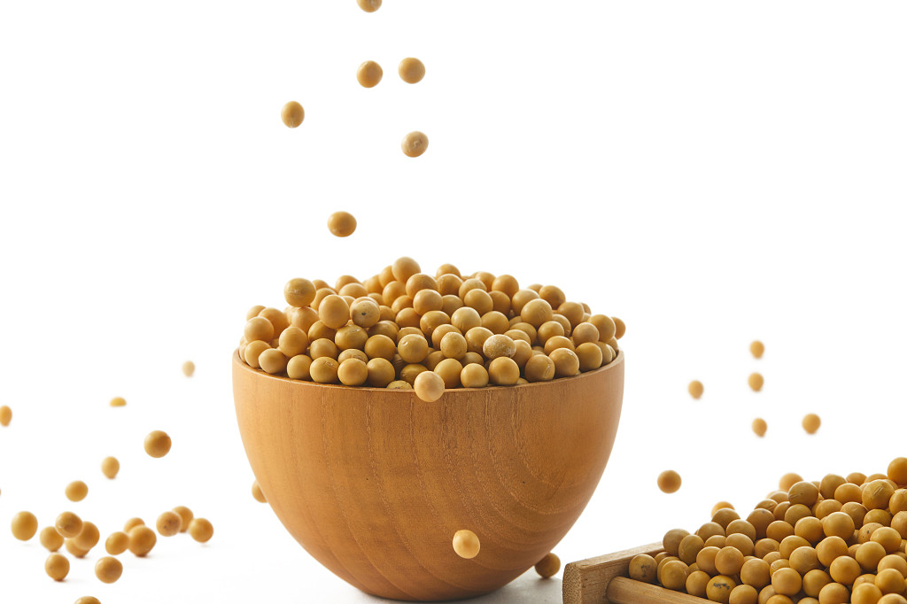 粮食白底木碗木盒黄豆豆子丰收配图谷物