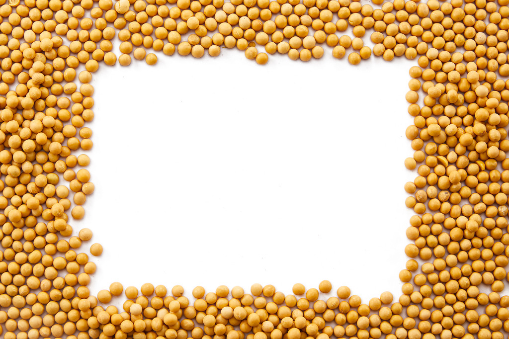 粮食实拍特写长方形黄豆豆子配图谷物