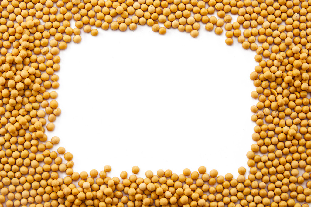 粮食实拍特写长方形黄豆豆子配图谷物