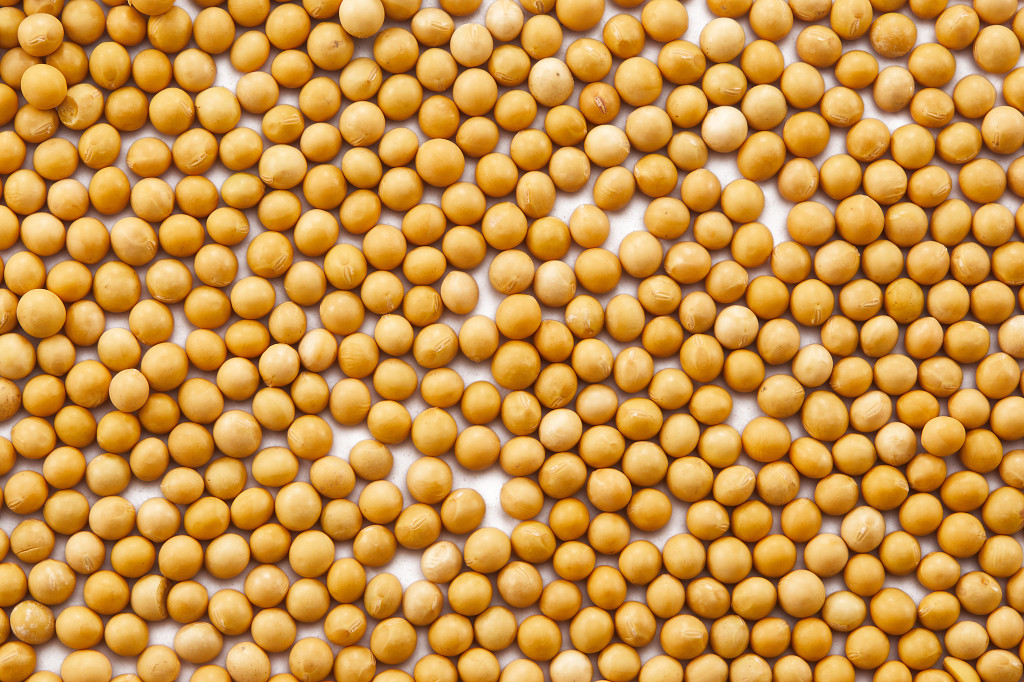 粮食实拍特写黄豆豆子配图谷物