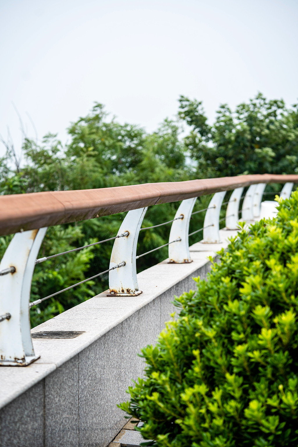 秋天的景区栏杆在绿色植物映衬那么的静谧栏杆栅栏