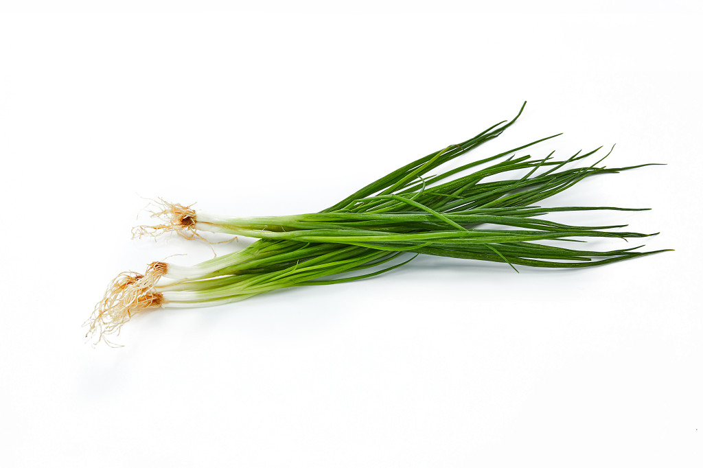 白底蔬菜一把葱葱小葱新鲜蔬菜配图蔬菜果蔬