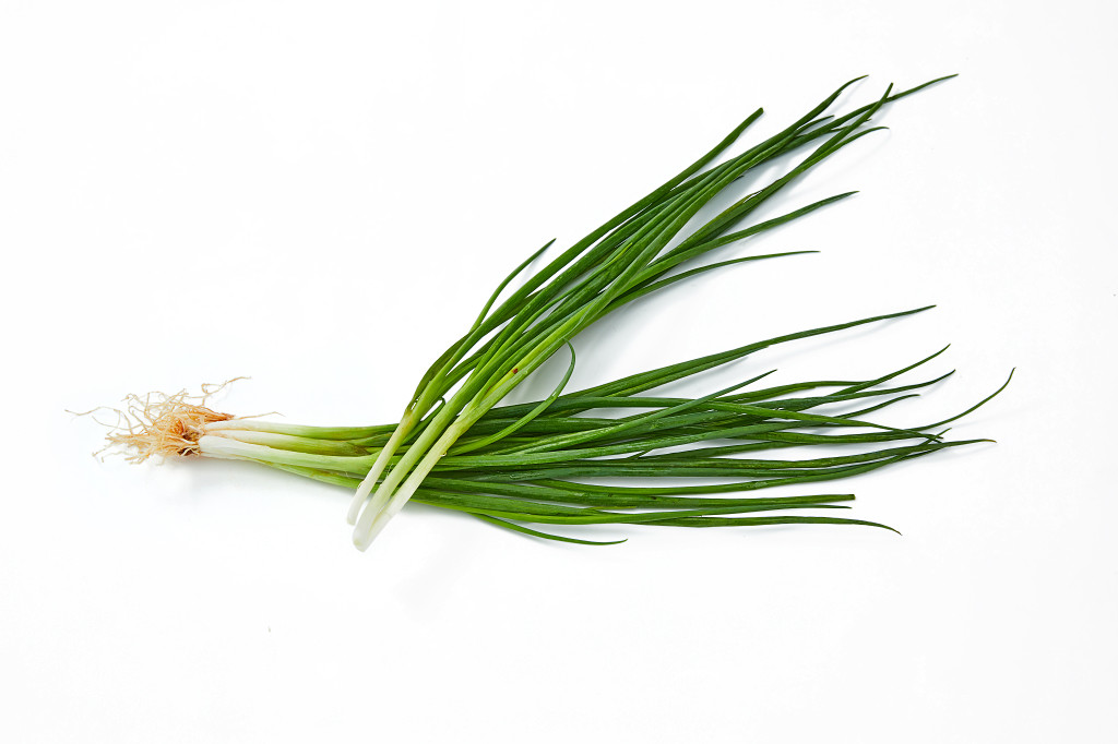 白底蔬菜一把葱葱小葱新鲜蔬菜配图蔬菜果蔬